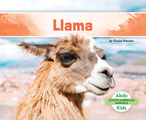 Llama (South American Animals)