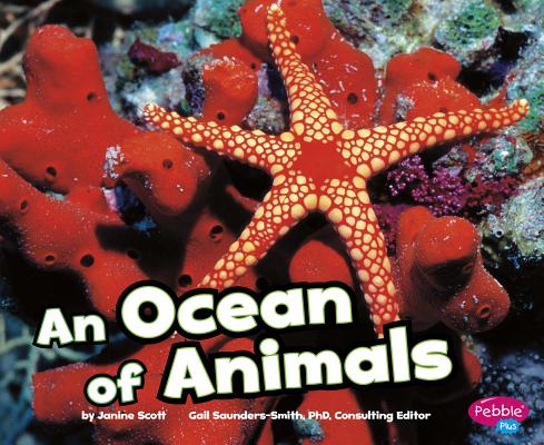 Ocean of Animals (Pebble Plus: Habitats Around the World)