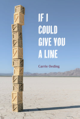 If I Could Give You a Line: poems (Akron Series in Poetry)