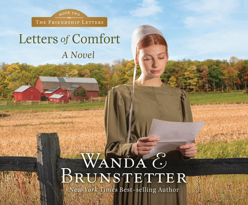 Letters of Comfort: A Novel (Volume 2) (Friendship Letters)